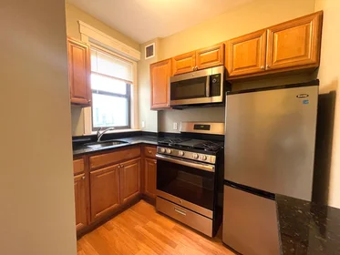 Studio en résidence à 660, Huntington Ave., Unit 39, Mission Hill, Boston, MA, 02115, image 7 de 21