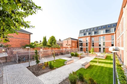 Prywatny pokój w rezydencji 6-18 Hull Rd, York YO10 3JG, United Kingdom, obraz 12 15