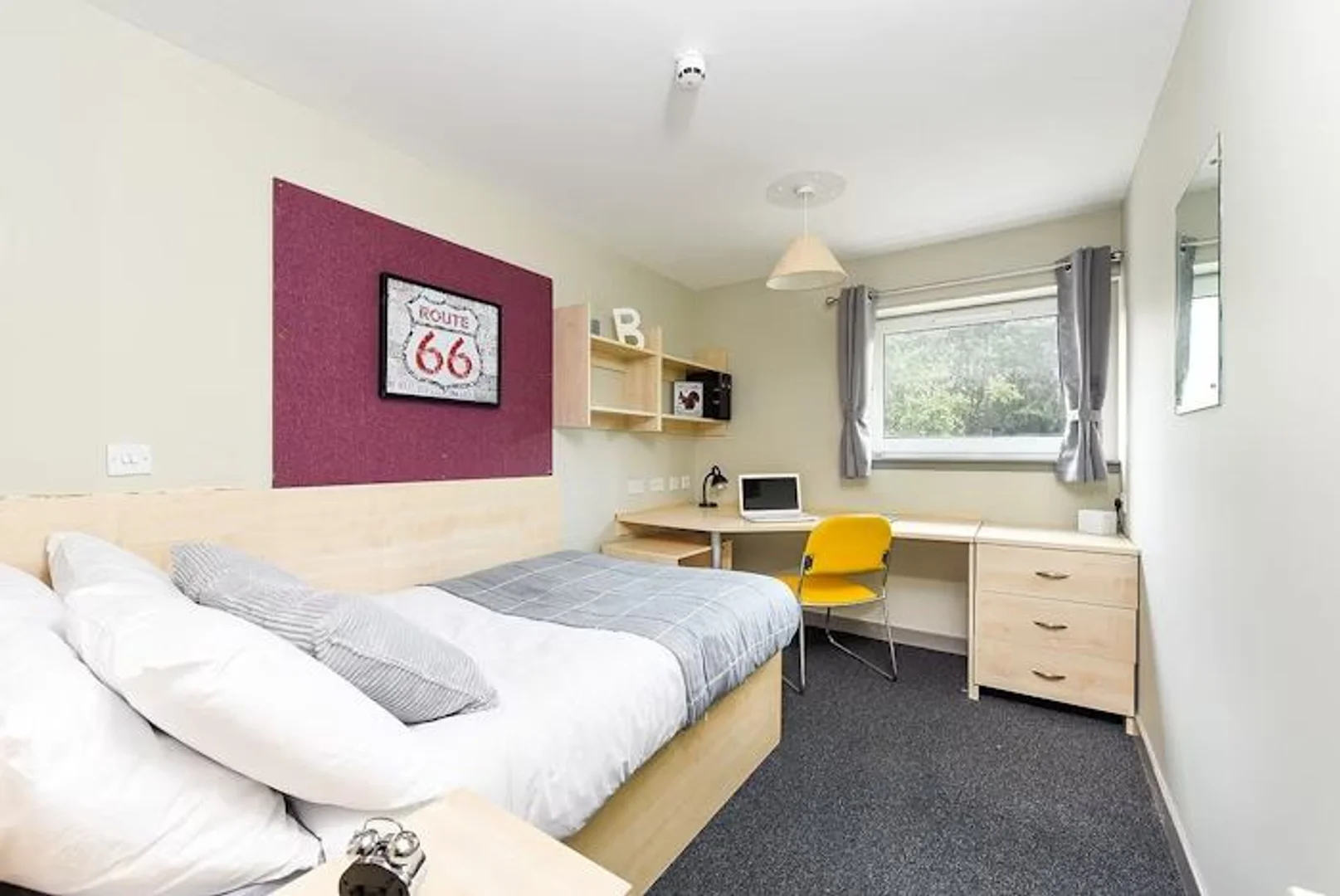 Room for rent in student apartment in , fully furnished