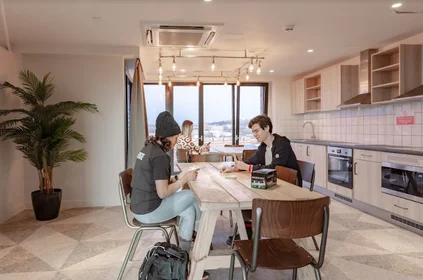 Apartamento inteiro em residência em 221 New City Rd, Glasgow G4 9BB, United Kingdom, imagem 30 de 30