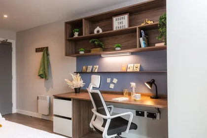 Quarto privado em residência em 8 Nelson Street, Belfast, BT15 1BH, UK, imagem 27 de 32
