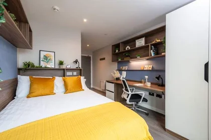Quarto privado em residência em 8 Nelson Street, Belfast, BT15 1BH, UK, imagem 1 de 32
