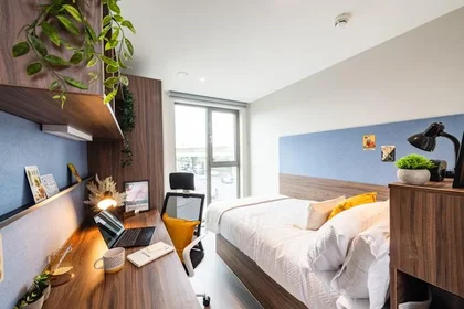 Quarto privado em residência em 8 Nelson Street, Belfast, BT15 1BH, UK, imagem 32 de 32