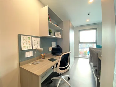 Quarto privado em residência em 6 Nelson Street, Little Patrick Street, Belfast, BT15 1BH, UK, imagem 2 de 21