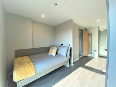 Quarto privado em residência em 6 Nelson Street, Little Patrick Street, Belfast, BT15 1BH, UK, imagem 1 de 21