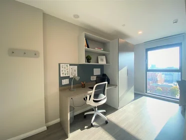 Quarto privado em residência em 6 Nelson Street, Little Patrick Street, Belfast, BT15 1BH, UK, imagem 2 de 21