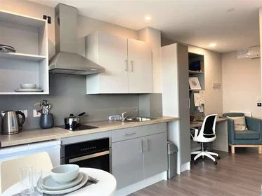 Quarto privado em residência em 6 Nelson Street, Little Patrick Street, Belfast, BT15 1BH, UK, imagem 19 de 21