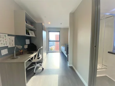 Quarto privado em residência em 6 Nelson Street, Little Patrick Street, Belfast, BT15 1BH, UK, imagem 3 de 21