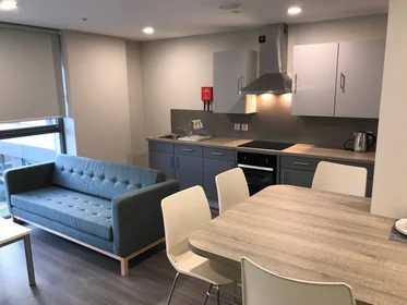 Quarto privado em residência em 6 Nelson Street, Little Patrick Street, Belfast, BT15 1BH, UK, imagem 5 de 21