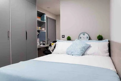 Quarto privado em residência em 6 Nelson Street, Little Patrick Street, Belfast, BT15 1BH, UK, imagem 7 de 21
