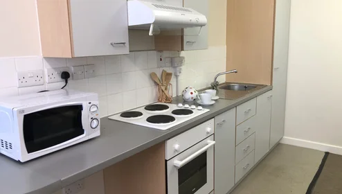 Özel oda Ikamet yerinde konumu 135 Great Horton Rd, Bradford BD7 1QG, United Kingdom, 15 39 görüntüsü