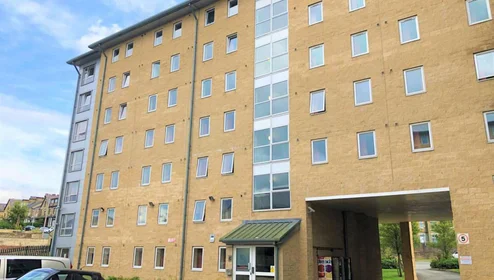Özel oda Ikamet yerinde konumu 135 Great Horton Rd, Bradford BD7 1QG, United Kingdom, 10 40 görüntüsü