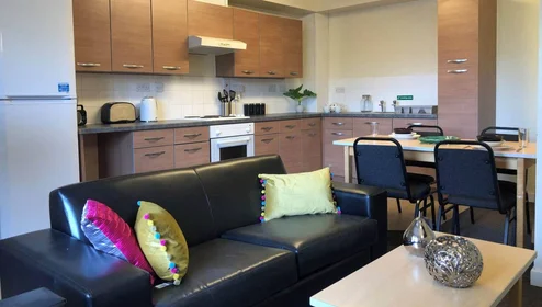 Özel oda Ikamet yerinde konumu 135 Great Horton Rd, Bradford BD7 1QG, United Kingdom, 7 39 görüntüsü
