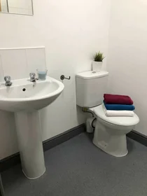 Private room in residence at 68 Hylton Rd, Sunderland SR4 7BB, United Kingdom , image 14 of 33