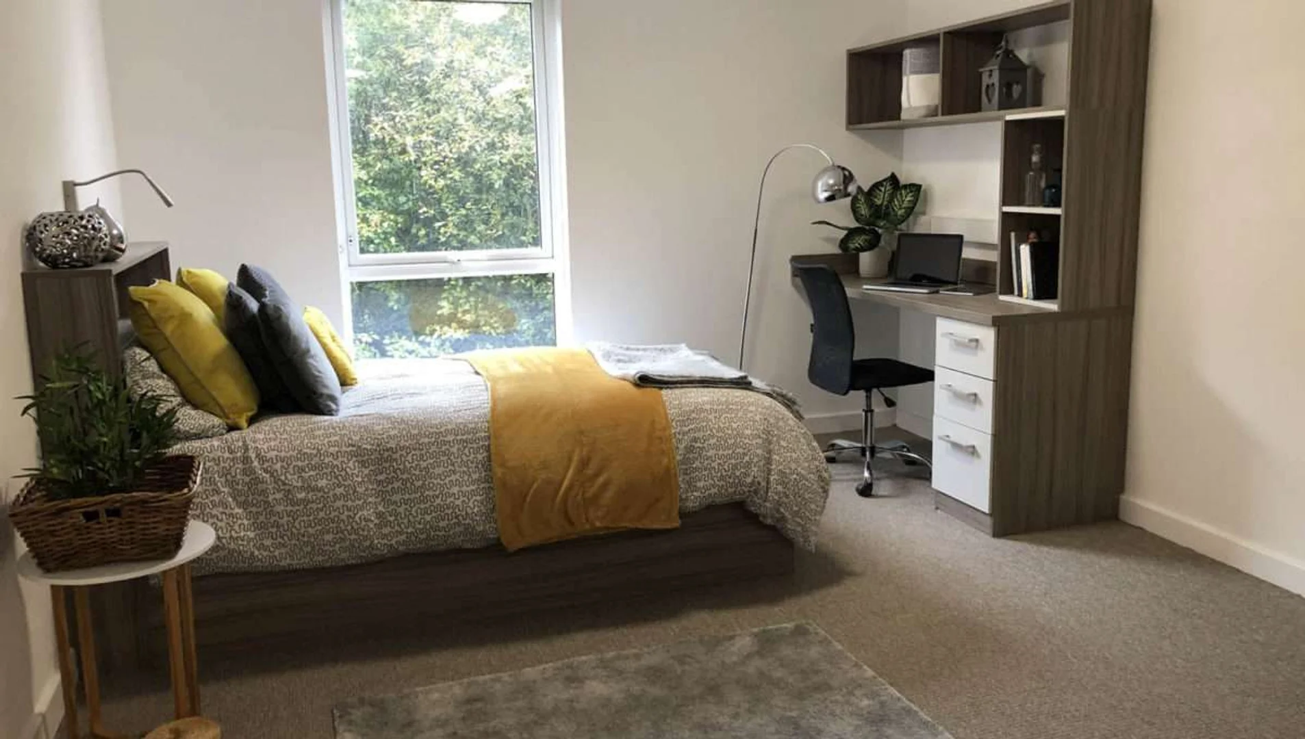 Abgeschlossenes Studio für Studenten im Zentrum von 