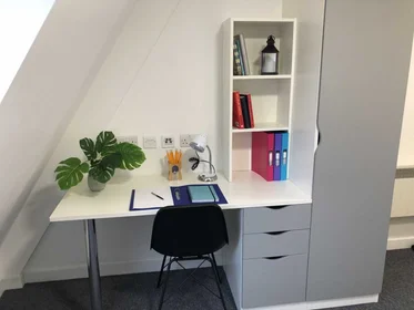 Quarto privado em residência em 164 Tudor Rd, Leicester LE3 5HU, United Kingdom, imagem 4 de 49