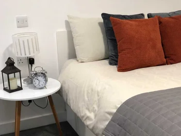 Quarto privado em residência em 164 Tudor Rd, Leicester LE3 5HU, United Kingdom, imagem 35 de 49