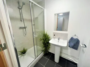 Quarto privado em residência em 164 Tudor Rd, Leicester LE3 5HU, United Kingdom, imagem 41 de 49