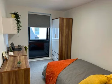 Prywatny pokój w rezydencji Egerton St, Sheffield City Centre, Sheffield S1 4JX, United Kingdom, obraz 23 24