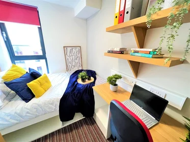 Private room in residence at Park Lane House, 27 Stockton Rd, Sunderland SR2 7AQ, United Kingdom, image 1 of 32
