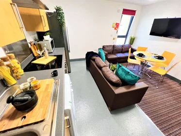 Private room in residence at Park Lane House, 27 Stockton Rd, Sunderland SR2 7AQ, United Kingdom, image 22 of 32