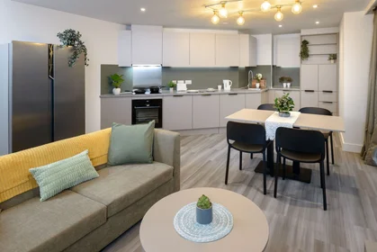 Apartamento inteiro em residência em true Sheffield, 12 Tenter Street, Sheffield S1 4XF, imagem 13 de 49