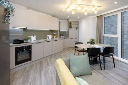 Apartamento inteiro em residência em true Sheffield, 12 Tenter Street, Sheffield S1 4XF, imagem 8 de 49
