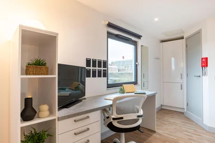 Private room in residence at Stoddart St, Shieldfield, Newcastle upon Tyne NE2 1BS, United Kingdom, image 15 of 49