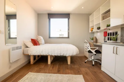Private room in residence at Stoddart St, Shieldfield, Newcastle upon Tyne NE2 1BS, United Kingdom, image 16 of 49