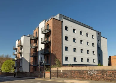 Private room in residence at Stoddart St, Shieldfield, Newcastle upon Tyne NE2 1BS, United Kingdom, image 33 of 49