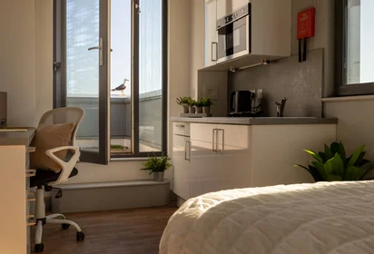 Private room in residence at Stoddart St, Shieldfield, Newcastle upon Tyne NE2 1BS, United Kingdom, image 36 of 49