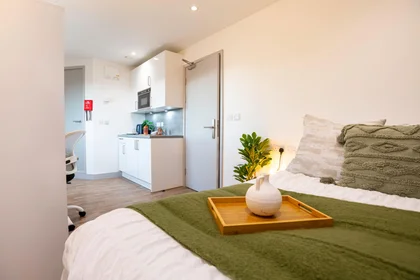 Private room in residence at Stoddart St, Shieldfield, Newcastle upon Tyne NE2 1BS, United Kingdom, image 49 of 49