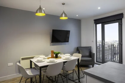 Private room in residence at Stoddart St, Shieldfield, Newcastle upon Tyne NE2 1BS, United Kingdom, image 10 of 49