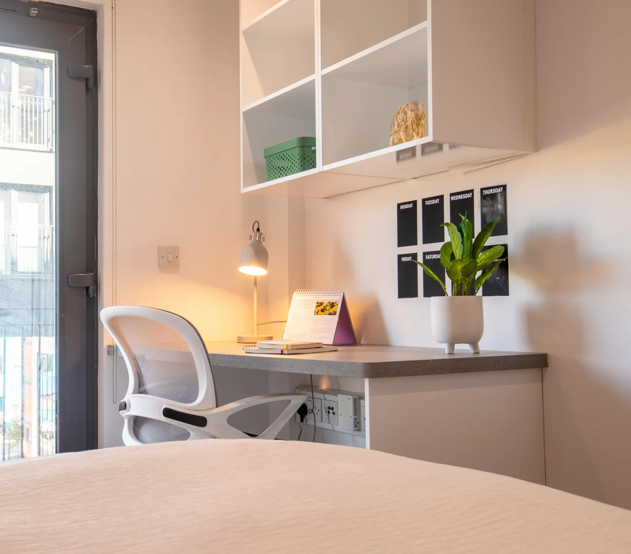 Affordable room for students with ample lighting in