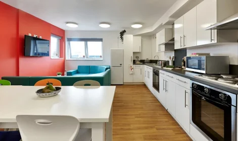Özel oda Ikamet yerinde konumu 64-66 Ebrington St, Plymouth PL4 9AQ, United Kingdom , 11 15 görüntüsü
