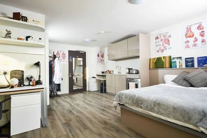 Apartamento inteiro em residência em 21 Beith St, Glasgow G11 6BZ, United Kingdom, imagem 15 de 23