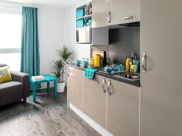 Habitación privada en residencia en 22 W Tollcross, Edinburgh EH3 9QW, United Kingdom , imagen 12 de 15