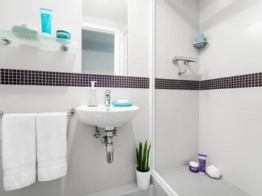 Habitación privada en residencia en 22 W Tollcross, Edinburgh EH3 9QW, United Kingdom , imagen 14 de 15