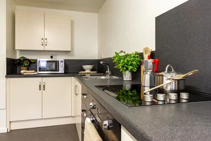 Prywatny pokój w rezydencji 50 Park St, Lincoln LN1 1UR, United Kingdom, obraz 30 35