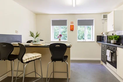 Prywatny pokój w rezydencji 50 Park St, Lincoln LN1 1UR, United Kingdom, obraz 33 35