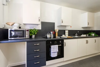 Prywatny pokój w rezydencji 50 Park St, Lincoln LN1 1UR, United Kingdom, obraz 35 35