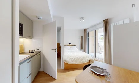 Chambre privée à Rue Hoche, image 1 de 23
