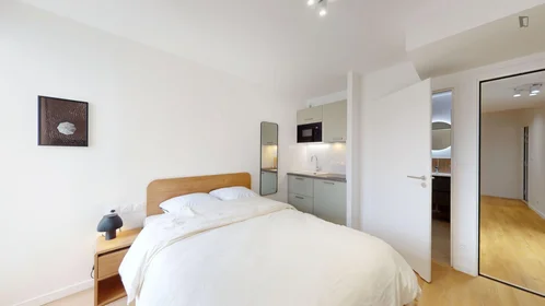 Chambre privée à Rue Hoche, image 6 de 22