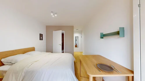 Chambre privée à Rue Hoche, image 3 de 23