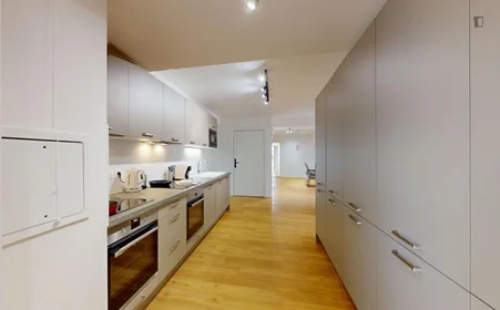 Chambre privée à Rue Hoche, image 12 de 22