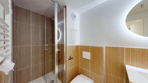 Chambre privée à Rue Hoche, image 7 de 24