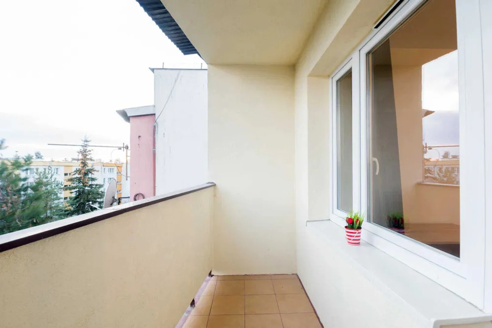 Habitación estudiantil económica cerca del campus en 