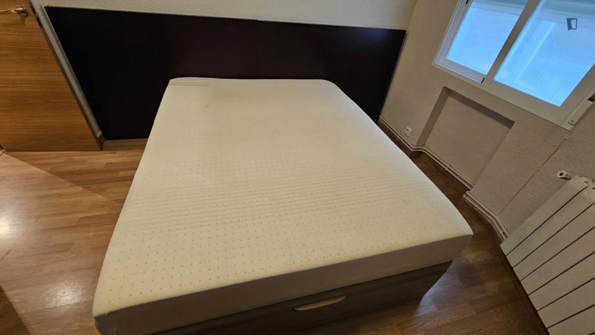 Confortevole e spaziosa stanza per studenti in 
