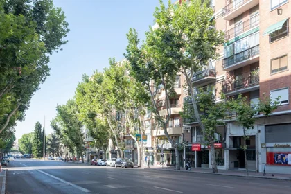 Stanza privata in Paseo de las Delicias, immagine 18 di 19