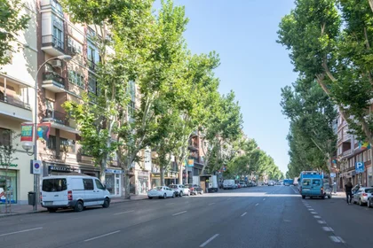 Stanza privata in Paseo de las Delicias, immagine 19 di 19